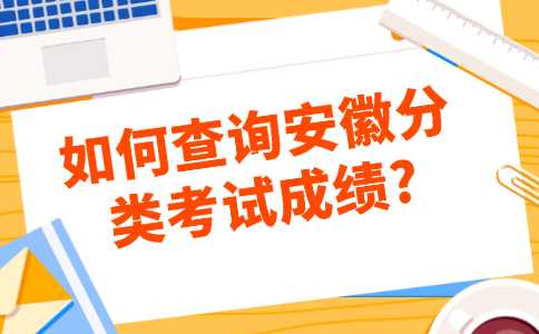 安徽分类考试成绩查询